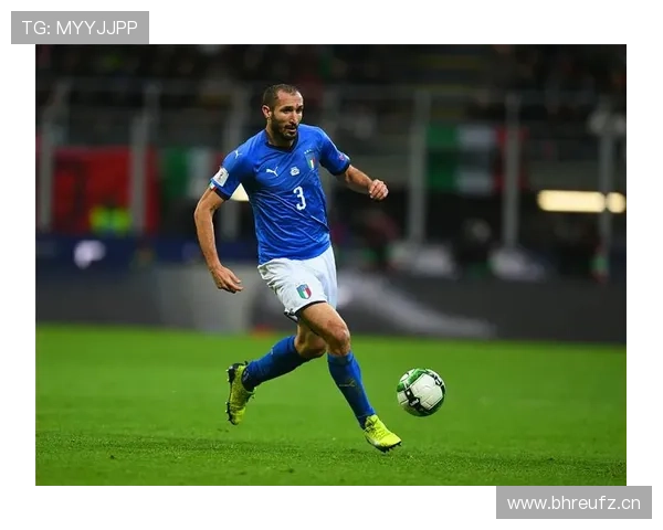 菲利克斯在西蒙尼体系中的技术适配难题解析